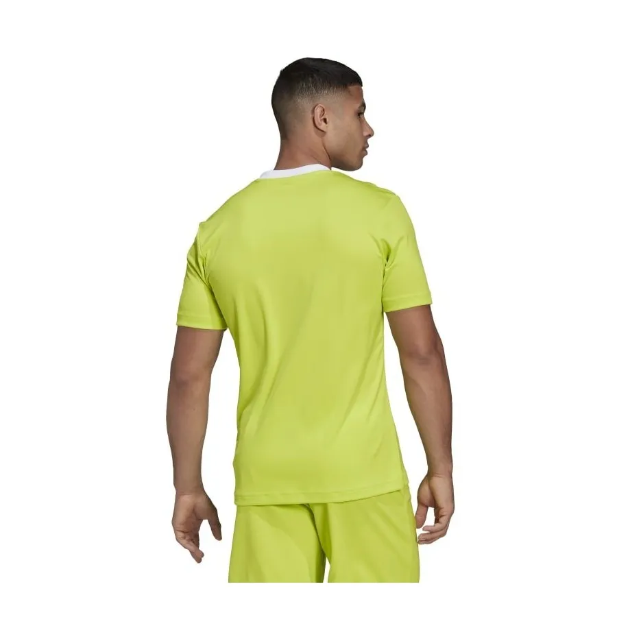 ADIDAS Camiseta ENTRADA22 HC5077