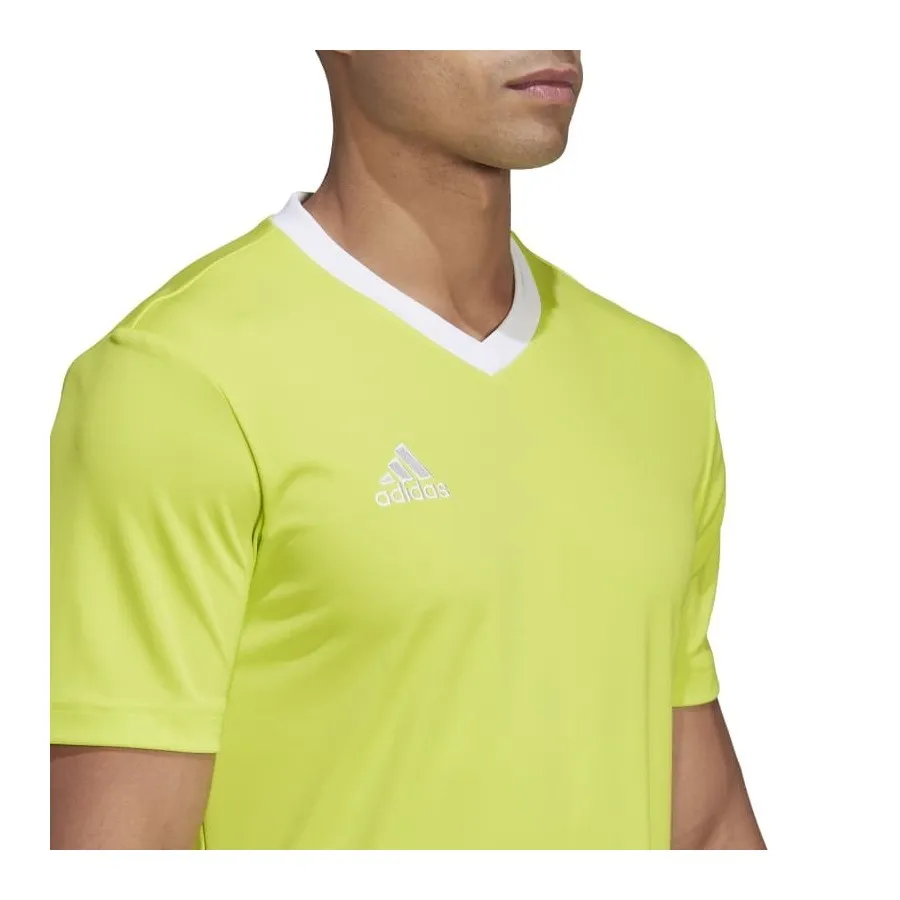 ADIDAS Camiseta ENTRADA22 HC5077