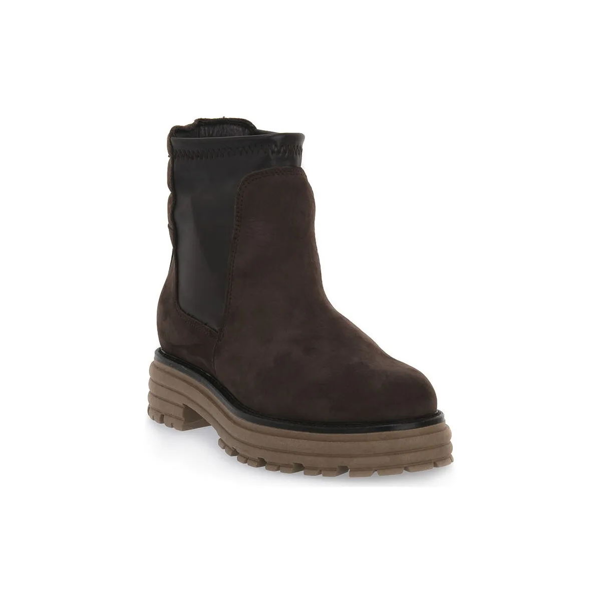 BROWN SIBILLA