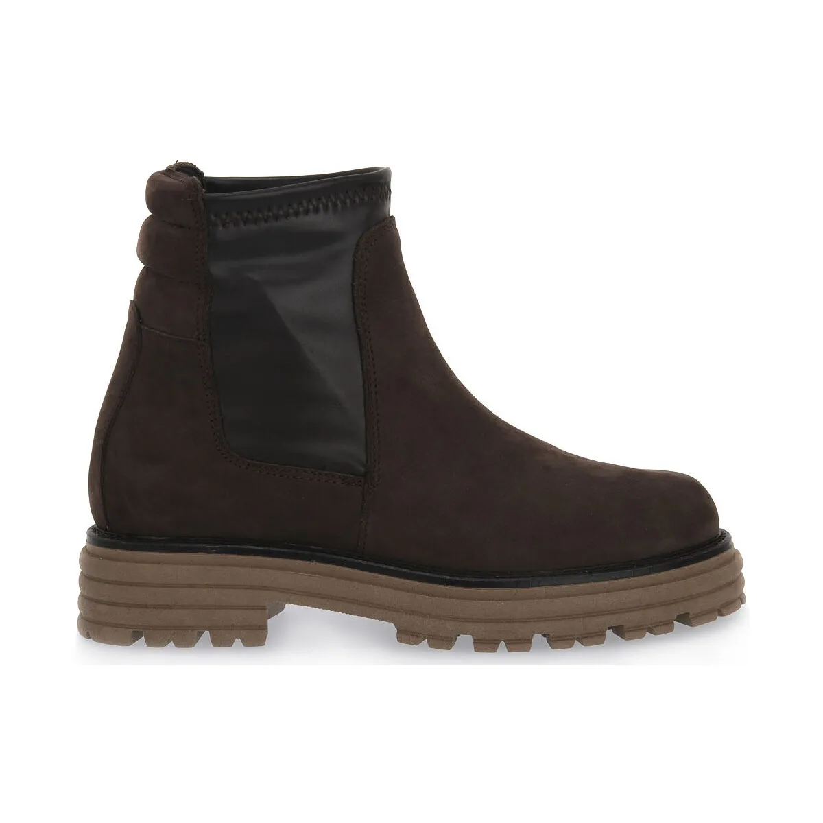 BROWN SIBILLA
