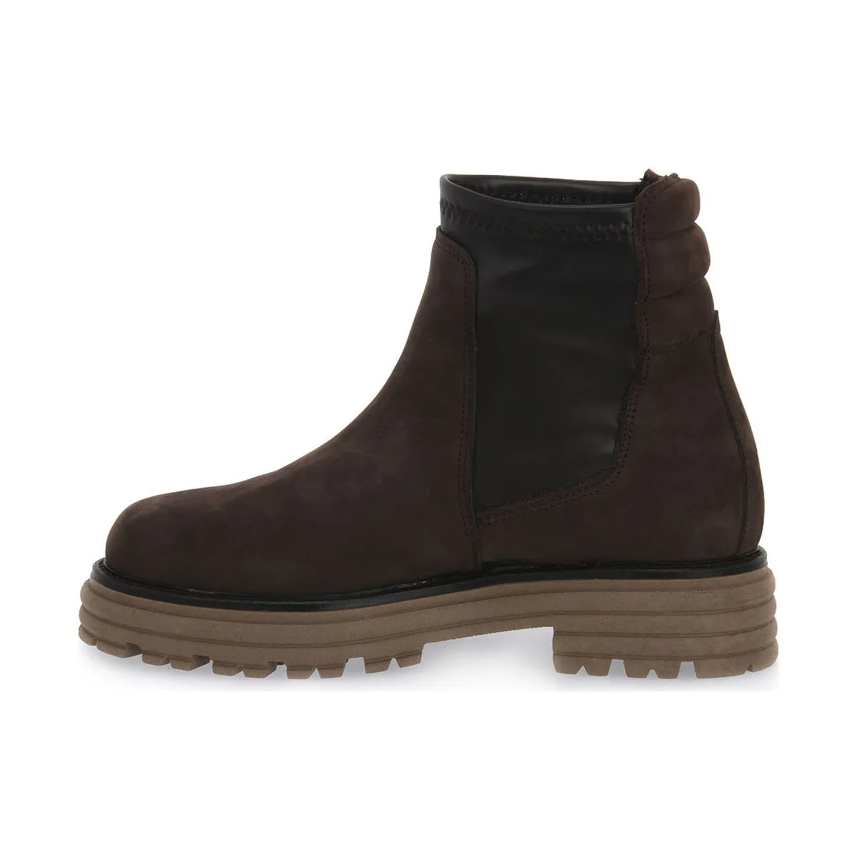 BROWN SIBILLA