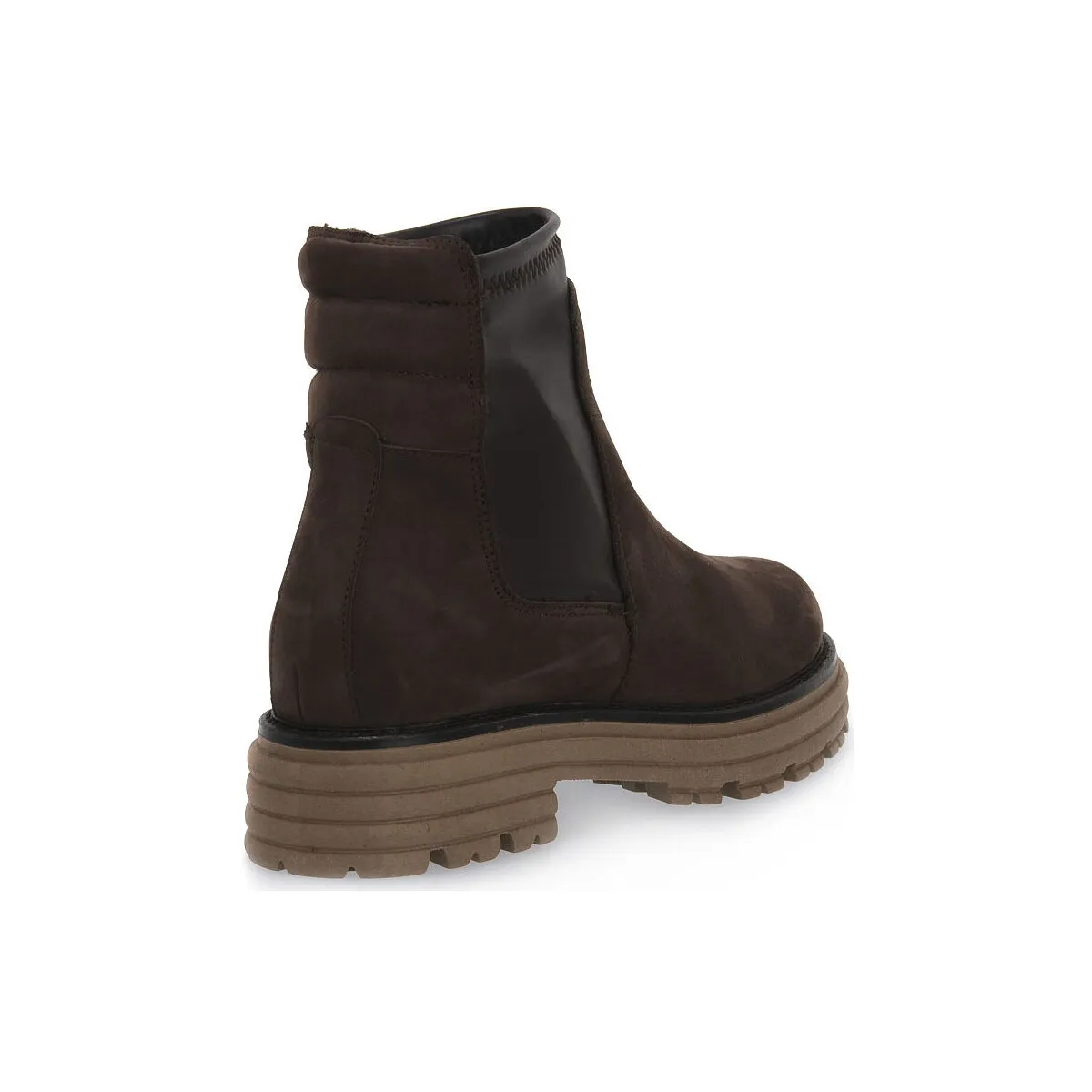 BROWN SIBILLA
