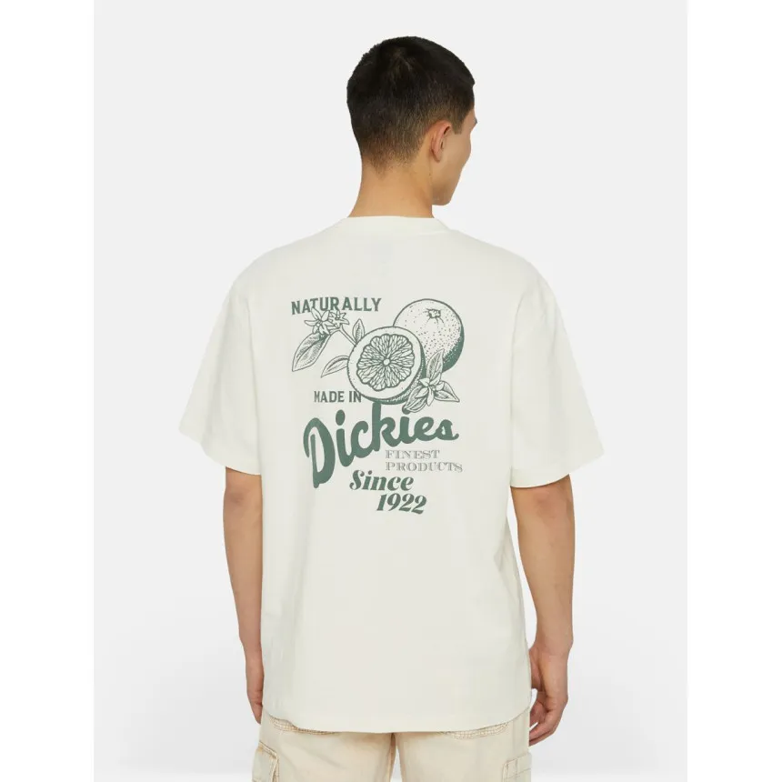 Camiseta Dickies Raven Para Hombre