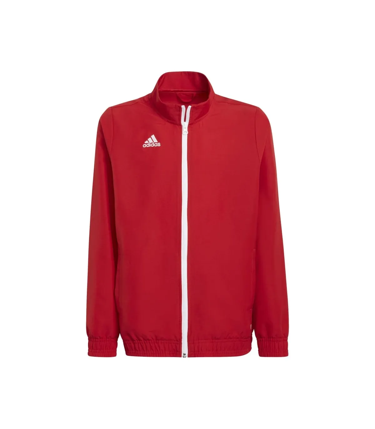 Chaqueta Adidas Entrada 22 Junior