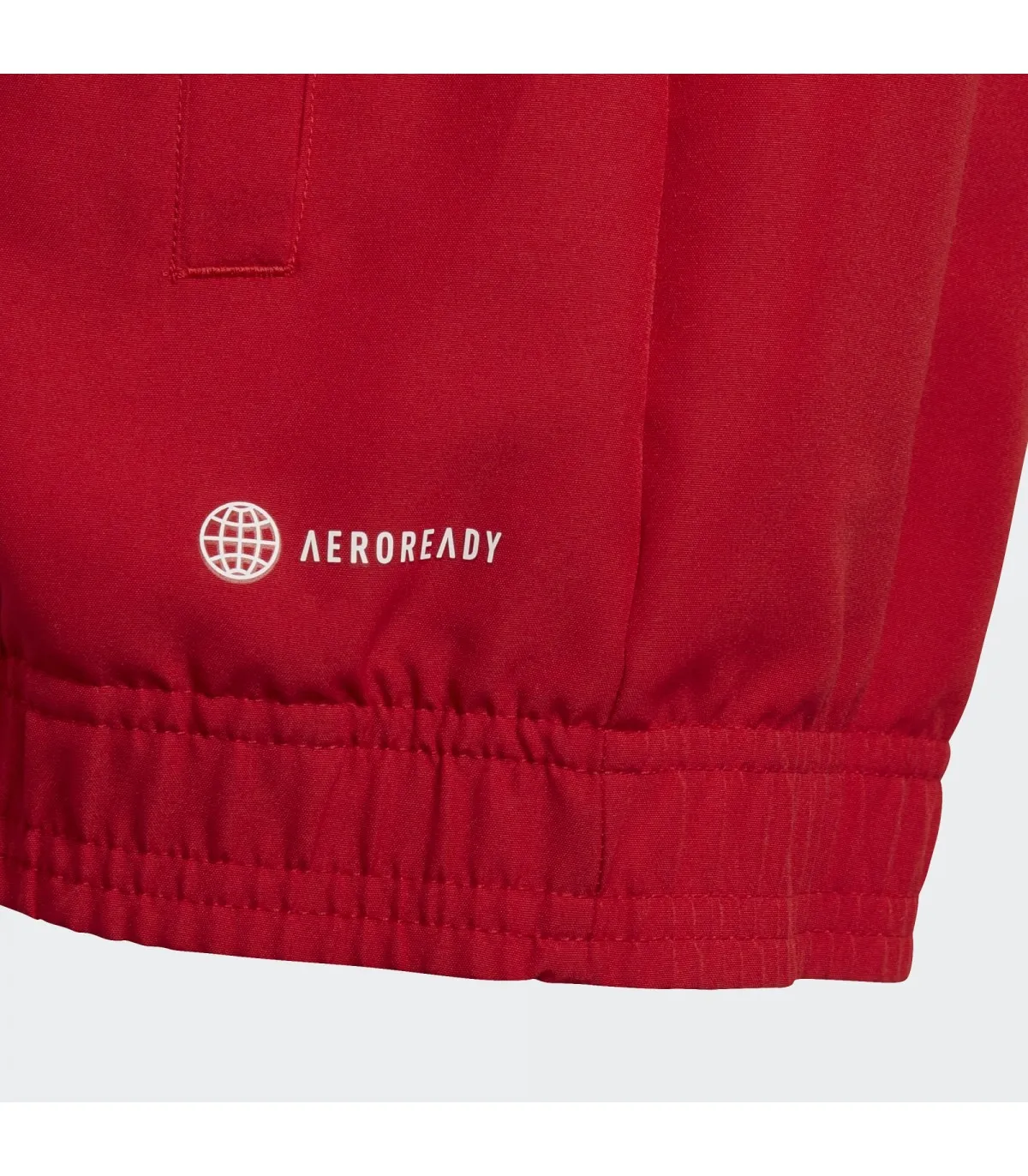 Chaqueta Adidas Entrada 22 Junior
