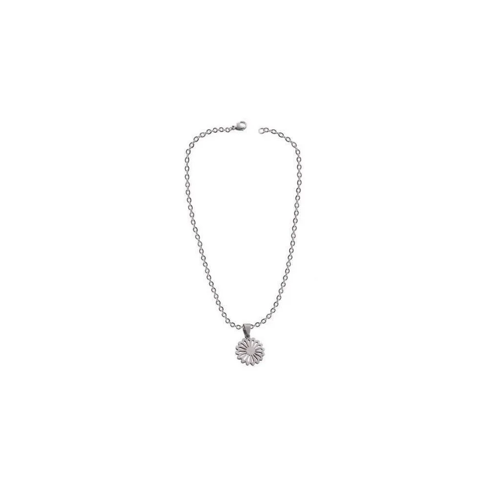 Collar Lestor de acero 316 L.