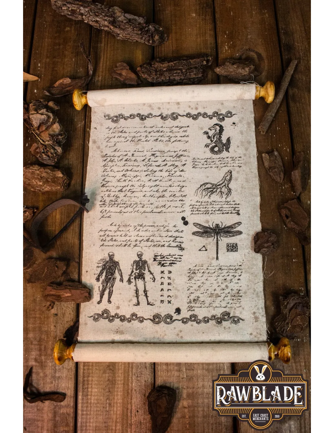 Pergamino medieval escolar desenrollable