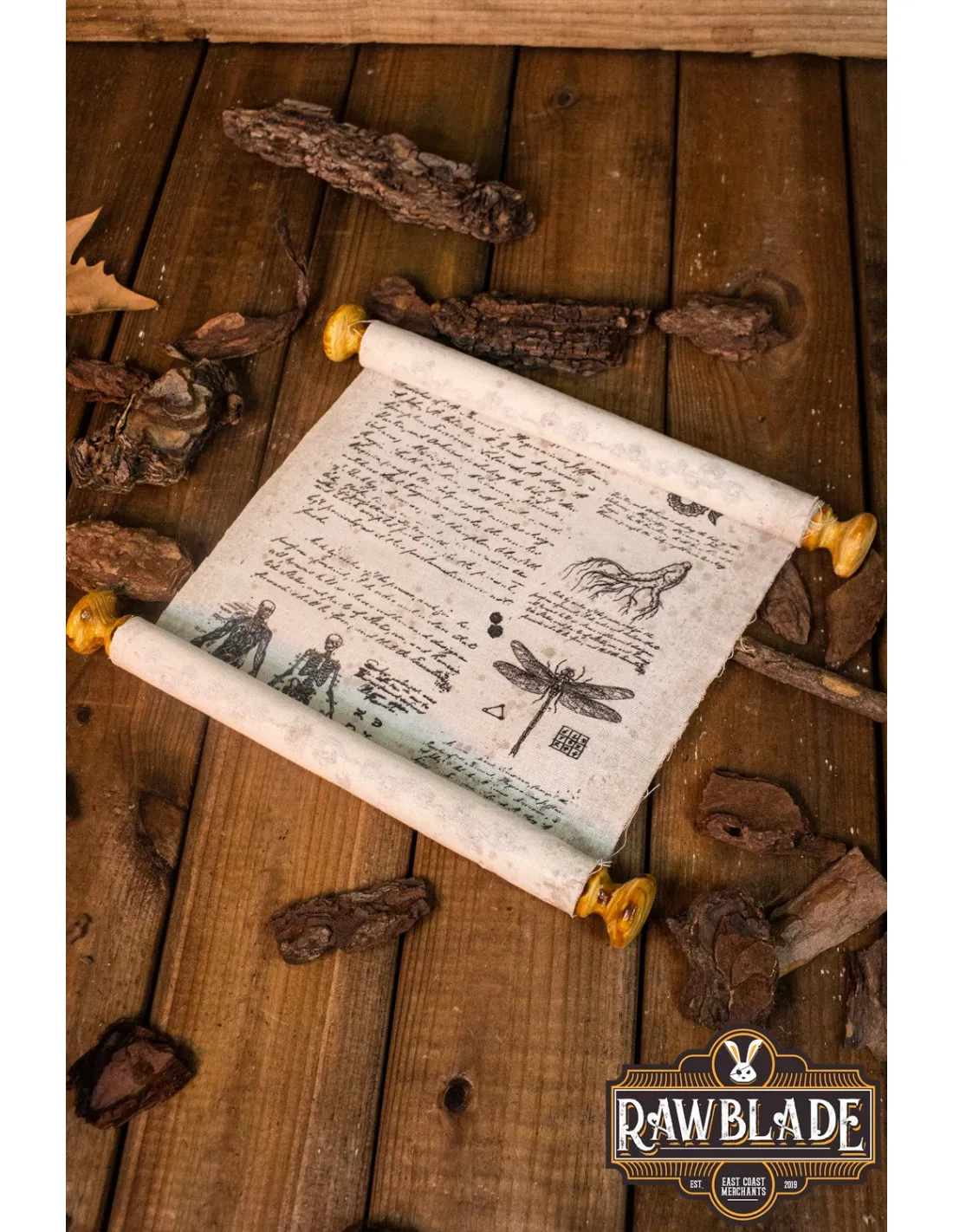 Pergamino medieval escolar desenrollable