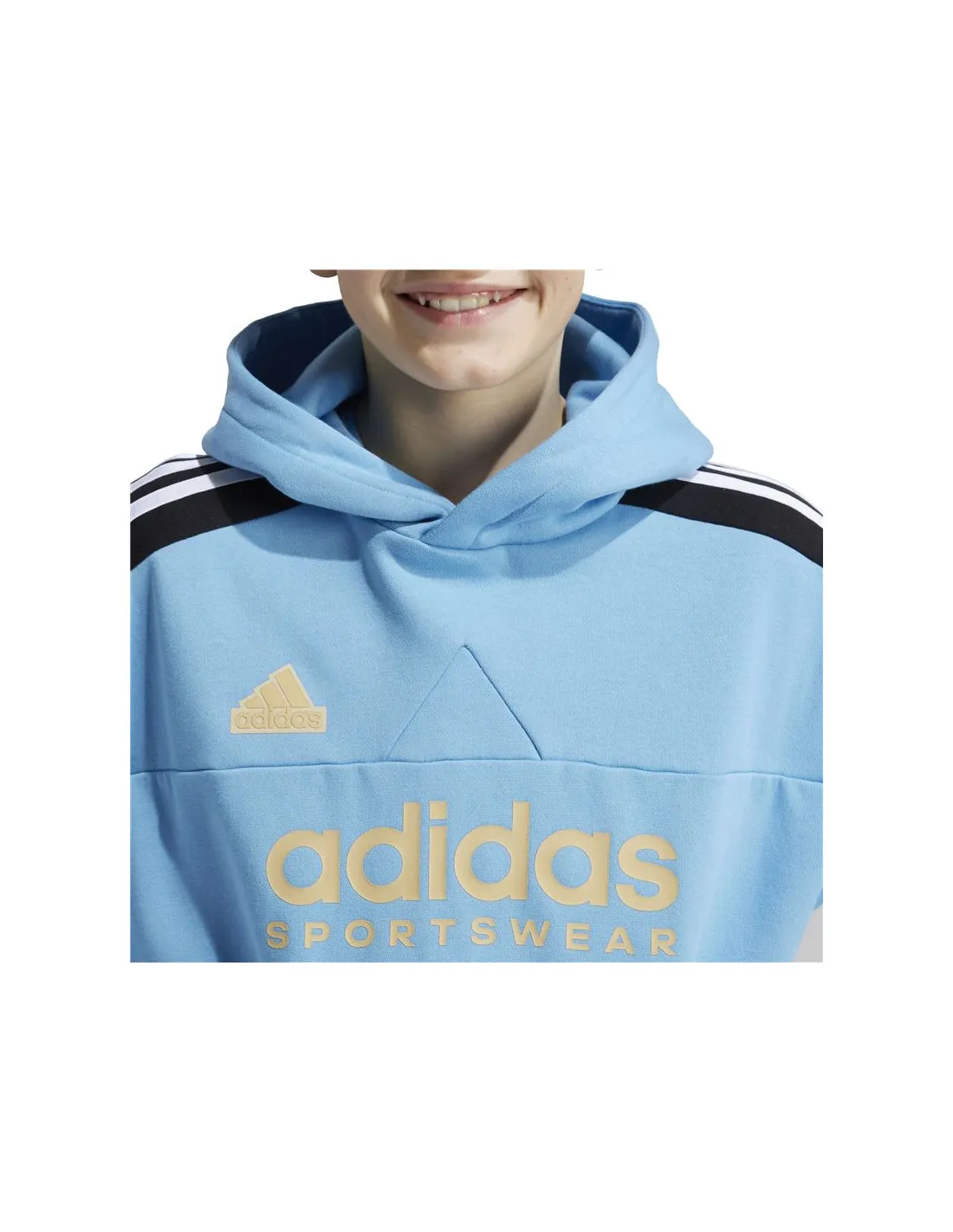 Sudadera adidas Tiro Nations Pack Hoody Infantil Azul